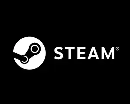 Steam
